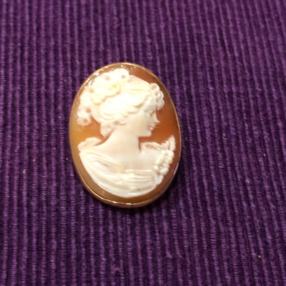 Vintage (approx 1979) Shell Cameo Brooch/Pendant